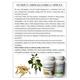 Ayursun Ashwagandha Capsule 50's - Ashwagandha