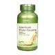 GNC American White Ginseng 500 mg Capsules 90's - Multi-Vitamins