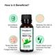 Greenberry Organics Organic Neem Oil 50 ml - Essential Oils