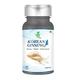 Mint Veda Korean Ginseng 1000 mg Veg Capsule 100's - Herbal Dietary Supplement