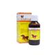 Dr.Wellmans Elixirvita-8 Tonic 120 ml - Speciality Medicine