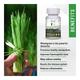 Vringra Ultra Pure Wheat Grass Capsules 60's - Health Products