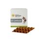 Kerala Ayurveda GT Capsules (Pack of 10 x 10's) - Speciality Medicines