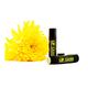 Matra Lip Balm - Kiwi 4.5 gm - Lip Balms
