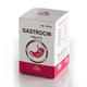 Similia Gastrocin Tablet 450 gm - Speciality Medicine