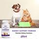 Petvit Kidney Support Powder- All Breeds of Dogs & Cats 100 gm - Petfood