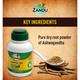 Zandu Asvagandha Churna 60 gm - Speciality Medicines