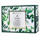 Tea Treasure Whole Leaf Green Tea Bag - Sencha 18's - Teas