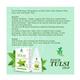 Mint Veda Panch Tulsi Drop (Pack of 5 x 30 ml) - Vitamin C