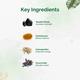 Dr.Vaidya's Shilajit Gold Capsule 30's - Pure Herbs