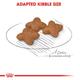 Royal Canin Mini Adult Dog Food - (All Small Dogs Upto 10 kg) 4 kg - Petfood