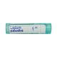 Boiron Ledum Palustre 1M Multi Dose PELLETS 4 GM - Triturations (Homeo Tablets)
