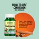 Morpheme Remedies Cinnamon 500mg Extract 60's - Digestive Health