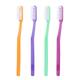 Maxi Angular Toothbrush - Hard 12's - Toothbrushes
