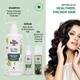 The Beauty Co. To The Roots Hair Growth Oil 100 ml - Hair Oils