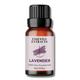 Essentia Extracts Pure Essential Oil - Lavender 15 ml - Essential Oils