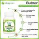 VitaGreen Gudmar Capsules 60's - Herbal Dietary Supplement