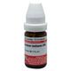 Dr. Willmar Schwabe Acidum Lacticum 200 CH Drops 10 ml - Homeopathic Drops