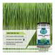 Nectar Valley Wheatgrass Powder 250 gm - Health Products