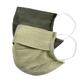 Faballey Sage 2 Ply Pleated Reusable Mask Set (2 Pcs) - Face Mask