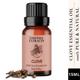 Essentia Extracts Pure Essential Oil - Clove 15 ml - Essential Oils