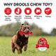 Drools Non-Toxic Rubber Dog Chew Bone Toy, Puppy/Dog Teething Toy (Medium) - 5 inches 1's - Pet accessories