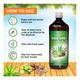 Swadeshi Ayurved Triphala Aloevera Ras Juice 500 ml - Ayurvedic Juices
