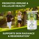 Organic Veda Fruit Powder - Amla & Vitamin C 200 gm - Pure Herbs