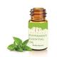 Mesmara Essential Oil - Peppermint 15 ml - Essential Oils
