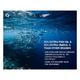 CF Omefish 1250 mg Fish Oil Softgel Capsule 60's - Omega Fish Oil Fatty Acids