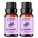 Essentia Extracts Pure Steam Distilled Essential Oil - Rosemary (Pack of 2 x 15 ml) 1's - Essential Oils