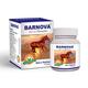 Barnova Capsule 10's - Speciality Medicines