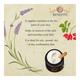 Bioayurveda Basics Nourishing Lift Night Face Creme 60 gm - Night Cream
