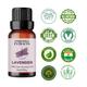Essentia Extracts Pure Essential Oil - Lavender 15 ml - Essential Oils