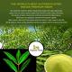 Organic Veda Neem Leaf Powder 454 gm - Pure Herbs
