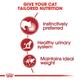 Royal Canin Instinctive Adult Cat Food - Gravy (Pack of 12 x 85 gm) 1's - Petfood