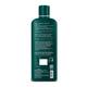 Dr Batra's Shampoo 500 ml + Anti-Dandruff Hair Serum 125 ml - Hair Treatment