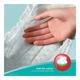 Pampers Baby-Dry Pants (XL) 38's - Diapers & Wipes