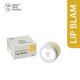 BBB Better Body Bombay Lip Balm- Milk & Forest Honey 10 gm - Lip Balms