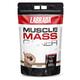 Labrada Muscle Mass Gainer Powder - Chocolate 5 kg - Workout Essentials