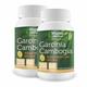 Bhumija Lifesciences Garcinia Cambogia 350 mg Capsule (Pack of 2 x 60's) - Herbal Dietary Supplement