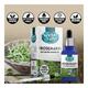 Nectar Valley Rosemary Essential Oil 30 ml - Essential Oils