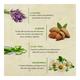 Bioayurveda Anti-Itch N Rash Creme 60 gm - Skin-Treatment