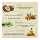 Bioayurveda Basics Homme UV Defense (SPF 30) Sunscreen Lotion 500 gm - Body Sunscreen