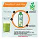 Mint Veda Lauki Aloe Juice (Pack of 2 x 1000 ml) - Herbal Dietary Supplement