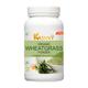 Kashvy Organic Wheatgrass Powder - Orange Flavour 100 gm - Speciality Medicines