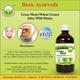 Basic Ayurveda Grass Meal (Wheat Grass) Juice with Honey 500 ml - Ayurvedic Juices