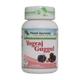 Planet Ayurveda Yograj Guggul Tablet 120's - Speciality Medicines