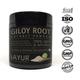iAYUR Giloy Root Extract Powder 100 gm - Giloy