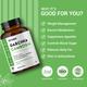 Nirvasa Garcinia Cambogia 800mg Tablet 60's - Herbal Dietary Supplement